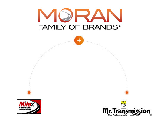 Brands Connections