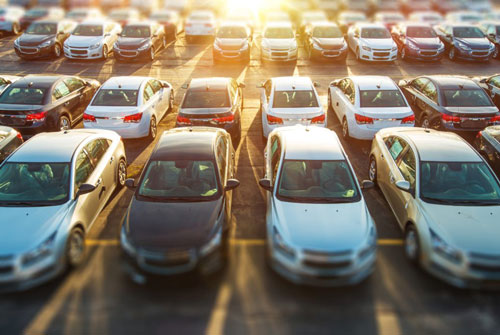 Dealer Vehicles