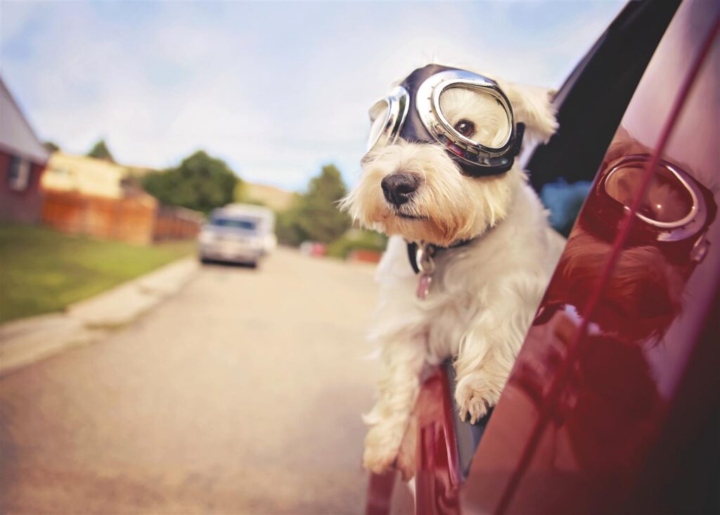 Filters – Their Importance and why They Need to be Replaced